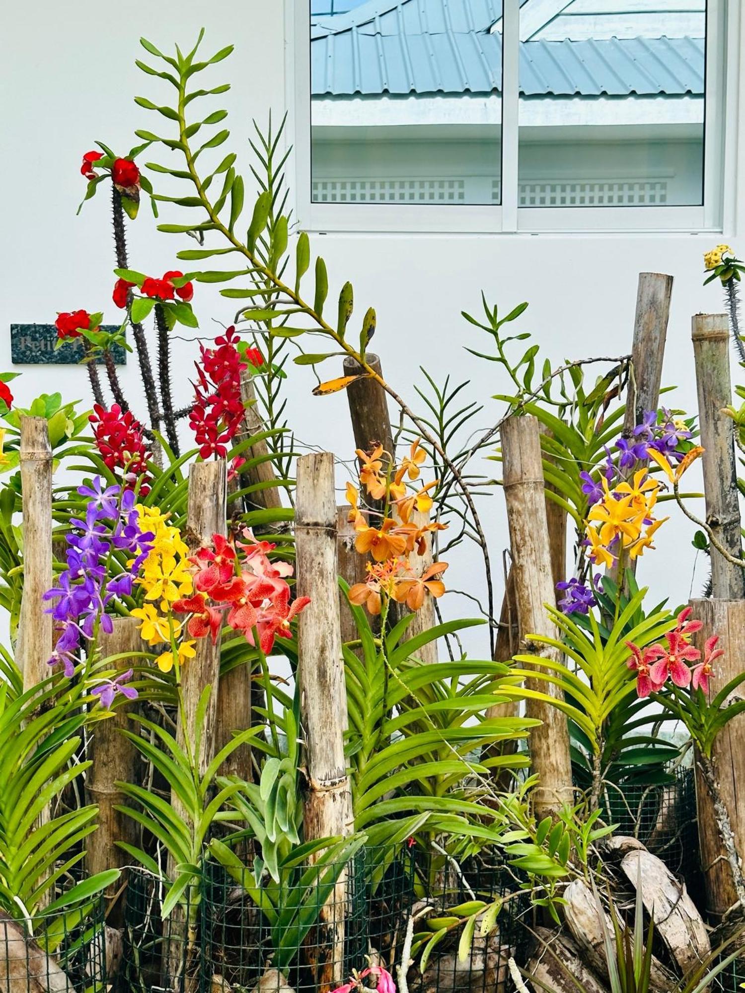 Cap Jean Marie Beach Villas Anse Kerlan  ภายนอก รูปภาพ